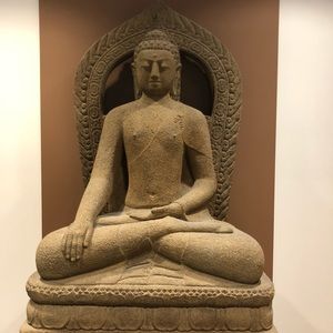 Meet your Posher, Lily